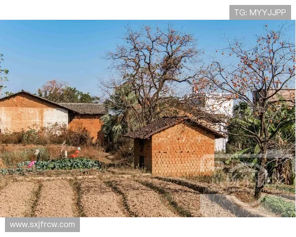 绿茵场的乡愁：我们爱的是家乡
